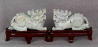 Certified 2 Color Natural Jade Jadeite Statue Sculpture Couple Pixiu R06557251