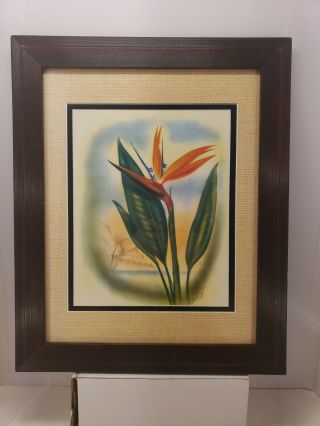 Vintage Hawaiian Ted Mundorff Orchid Print Framed Matted 13.  5in X 16.  5in