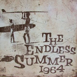 The Endless Summer 1964 Movie Retro Metal Sign Brown Surfing Beach Home Theatre