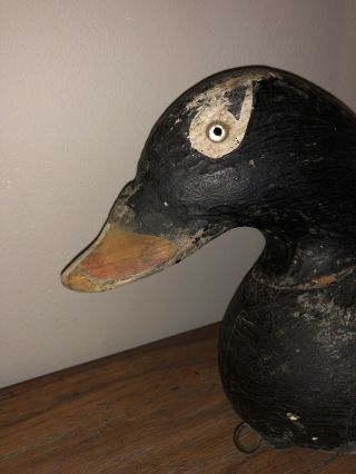 Vintage Wildfowler Oversized White Winged Scoter Wooden Duck Decoy