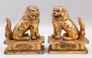 Pair Small Antique Chinese 19thc Qing Gold Gilt Carved Wood Chinese Foo Lions
