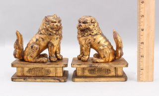 Pair Small Antique Chinese 19thC Qing Gold Gilt Carved Wood Chinese Foo Lions 2