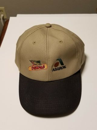 Dekalb & Asgrow Seed Tan Adjustable Snapback Hat,  Farming