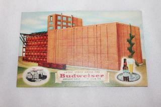 Vintage Postcard Latest Stock House For Budweiser Beer St.  Louis Mo