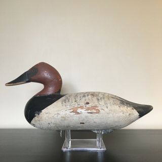 1940’s R Madison Mitchell Canvasback Drake Duck Decoy Branded Havre De Grace Md