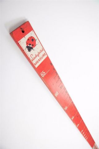 Vintage " Woolworths  Ladybird " Height Measure / Chart