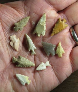 10 Colorful,  Classic Late Woodland - Mississippian Scallorn Points,  Southeast Mo.