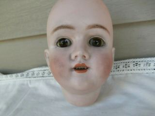 Antique German Lg Bisque Doll Head Heinrich Handwerck Simon Halbig 5 W Dmg Body