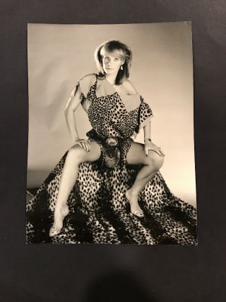 Tricia Walsh British Actress Vintage 6 X 8 Press Photo 1980’s