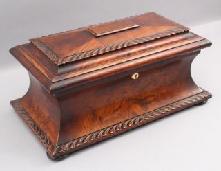 Large 19thc Antique 1820s Regency Empire Sarcophagus Carved Rosewood Tea Caddy