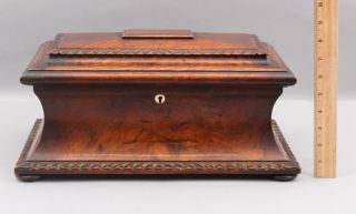 Large 19thC Antique 1820s Regency Empire Sarcophagus Carved Rosewood Tea Caddy 2
