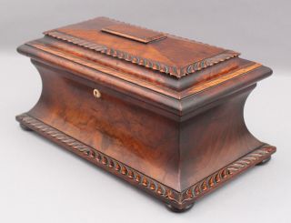 Large 19thC Antique 1820s Regency Empire Sarcophagus Carved Rosewood Tea Caddy 3