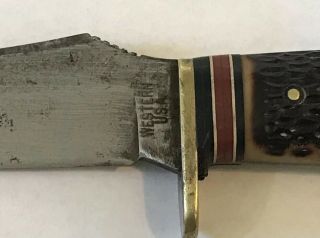 Vintage WESTERN Stag Handle Curved Hunting Knife 2