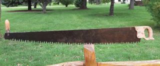 Antique/vintage Warranted Superior One/two Man Crosscut Logging Saw