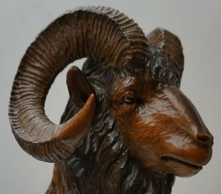 Antique Black Forest Wood Carved Mouflon Statue W.  Glass Eyes