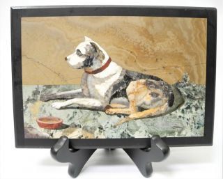 Fine Old Pietra Dura Mosaic Plaque Of Dog