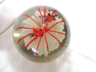 Vintage Murano Blown Glass,  White Flower And Butterflies Paperweight