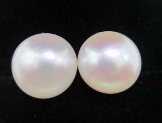Huge Rare 14 - 15mm Perfect South Sea White Natural Pearl Earring 14k White Golden
