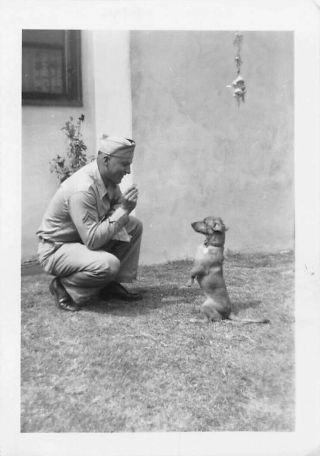 Training Dachshund Puppy Dog To Beg Sit Up Military Man Soldier Vtg Pet Photo