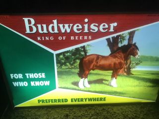 1950s Vintage Budweiser Clydesdale Light Up Sign Beer Lighted Advertising Bar