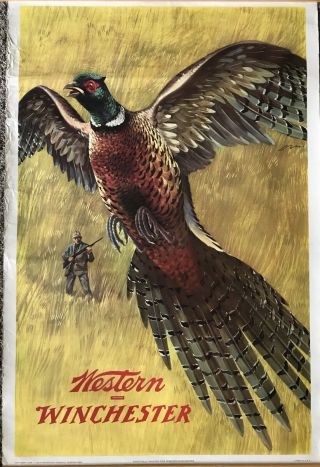 Vtg 1955 Western - Winchester Hunting Poster Weimer Pursell Pheasant Htf