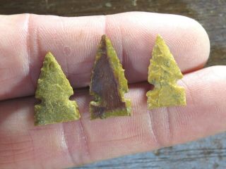 3 Northern Washita arrow points,  High Plains area,  Great Examples and Paper Thin 2