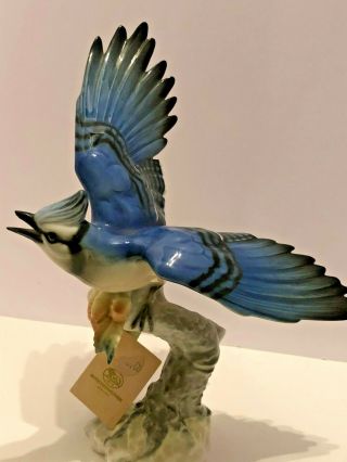 Vintage Hutschenreuther Porcelain Blue Jay Bird Figurine By Granget 2531