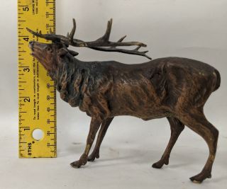 Lg Cold Painted Bronze Franz Bergman Screaming Stag / Elk