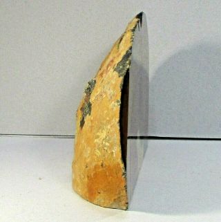Paperweight bookend polished Agate rock/stone 2lb 1.  3oz 6.  75 