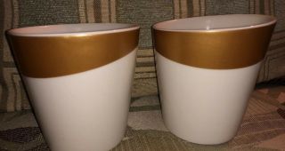 Two (2) Starbucks 2012 Mug Coffee Tea Cup Gold Rim No Handle Slant Top Bone China