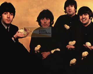 The Beatles 15 John Lennon Paul Mccartney George Harrison Ringo 8x10 Photo Pic