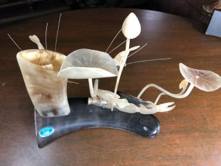 Vintage Asian Hand Carved Horn Ghost Shrimp Prawn Sea Weed Ocean Scene Sculpture