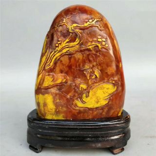 Chinese Shoushan Stone Hand - Carved Tree Old Man Seal Signet Stamp