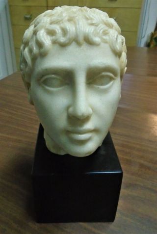 A Gorgeous Vintage Head Of An Ancient Greek Or Roman From The Met Museum.