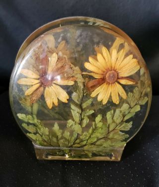 Vintage Acrylic Lucite Napkin/letter Holder W/dried Flowers