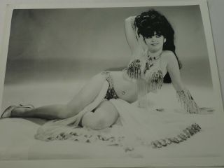 Myleen Kaye Belly Dancer Entertainer Vintage 8 X 10 B&w Photo