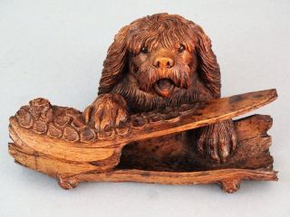 Antique Black Forest Carved Dog Inkwell & Pen Tray,  Spaniel,  Retriever