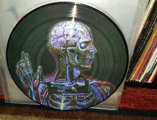 Rare Tool - Lateralus Picture Disc Promo Lp 500 Copies Made N/m