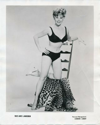 Sue Ann Langdon 1967 8 X 10 Sexy Cheesecake Press Photo Bikini Vv
