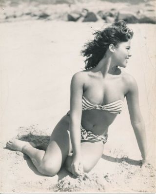 Beverly Glenn 1950s Sexy Buxom Bikini Cheesecake Press Photo Vv