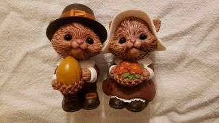 Chipmunk/squirrel Thanksgiving Salt And Pepper Shakers