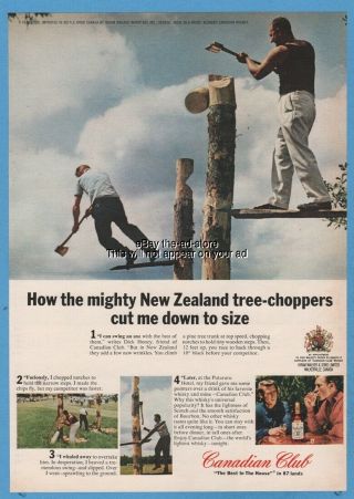 1966 Putaruru Hotel Zealand Lumberjack Tree Chopping Canadian Club Photo Ad