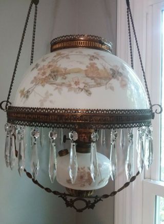 Antique Victorian Hanging Kerosene Oil Lamp Prisms Edward Miller & Co