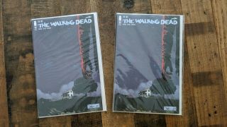 2019 Sdcc Exclusive The Walking Dead 193 Variant Cover Image Skybound Comics