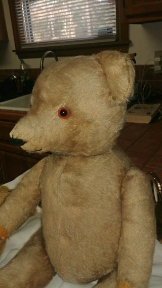 Large Antique Golden Mohair Steif ?straw Filled Jointed Teddy Bear