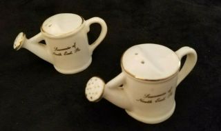 Vintage North East Pa,  Garden Water Pitcher Pail Ceramic Salt And Pepper Shakers