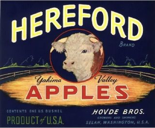 Selah Washington Hereford Cow Apple Fruit Crate Label Vintage Art Print