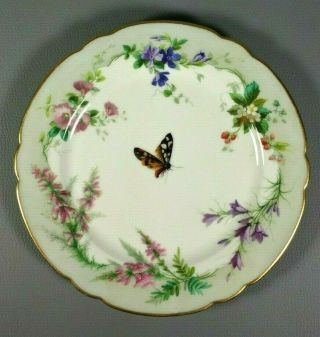 Antique Cabinet Plate French Old Paris Porcelain Hand Painted Limoges Flowers