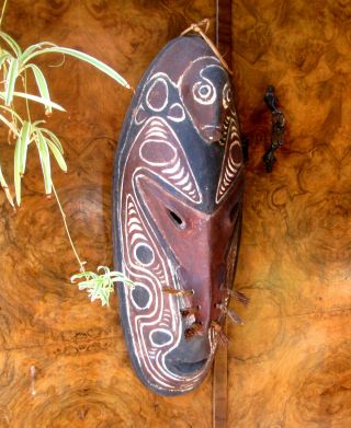 Papua Guinea Tribal Mask Vintage About 17 " Long Carved And Painted
