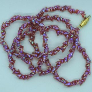 Victorian Vintage Tasmanian Maireener Aboriginal Purple/pink Shell Necklace 25 "